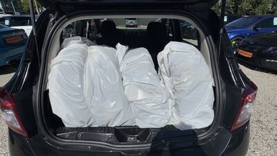 Dacia Sandero Gebrauchtwagen