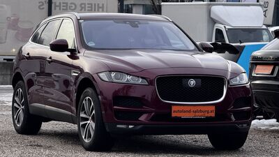 Jaguar F-Pace Gebrauchtwagen