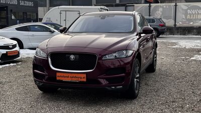Jaguar F-Pace Gebrauchtwagen