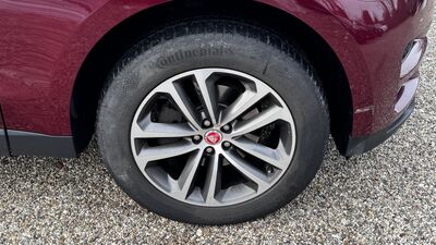 Jaguar F-Pace Gebrauchtwagen