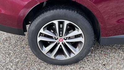 Jaguar F-Pace Gebrauchtwagen