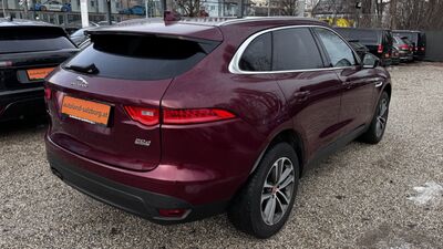 Jaguar F-Pace Gebrauchtwagen