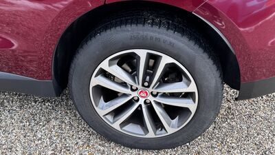 Jaguar F-Pace Gebrauchtwagen