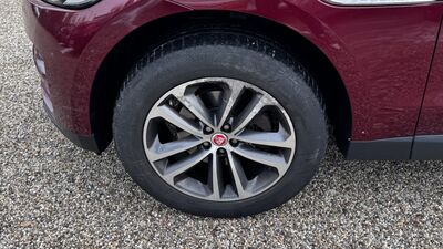 Jaguar F-Pace Gebrauchtwagen