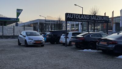 Fiat Punto Gebrauchtwagen