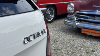 Skoda Octavia Gebrauchtwagen