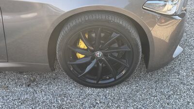 Alfa Romeo Giulia Gebrauchtwagen Alfa Romeo Giulia Gebrauchtwagen