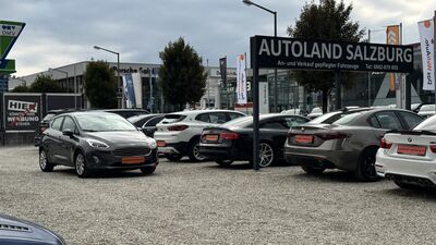 Ford Fiesta Gebrauchtwagen Ford Fiesta Gebrauchtwagen