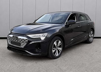 Audi Q8 e-tron Gebrauchtwagen