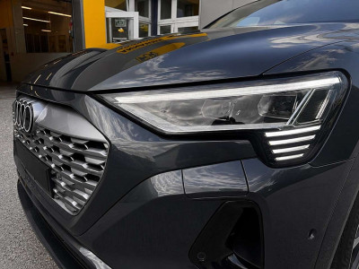 Audi Q8 e-tron Gebrauchtwagen