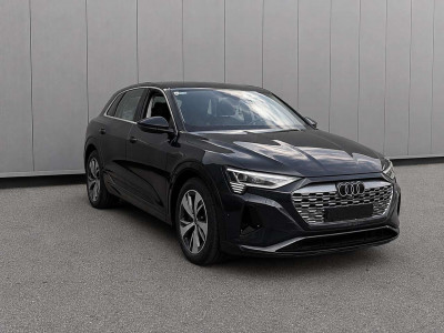 Audi Q8 e-tron Gebrauchtwagen