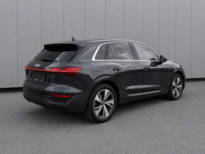 Audi Q8 e-tron Gebrauchtwagen