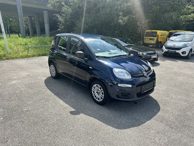 Fiat Panda Gebrauchtwagen