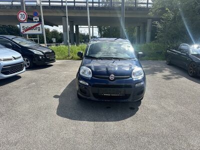 Fiat Panda Gebrauchtwagen