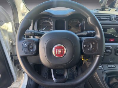 Fiat Panda Gebrauchtwagen Fiat Panda Gebrauchtwagen