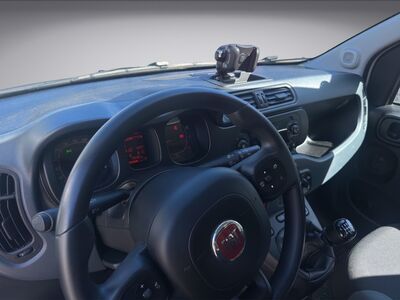 Fiat Panda Gebrauchtwagen Fiat Panda Gebrauchtwagen