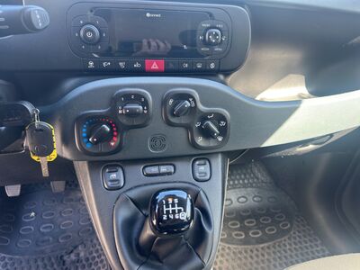 Fiat Panda Gebrauchtwagen Fiat Panda Gebrauchtwagen