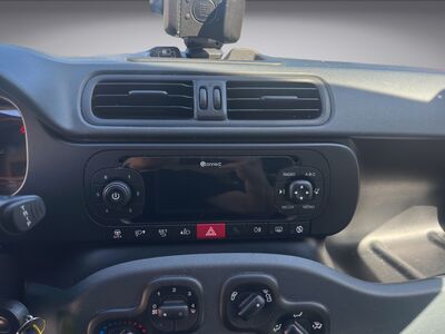 Fiat Panda Gebrauchtwagen Fiat Panda Gebrauchtwagen