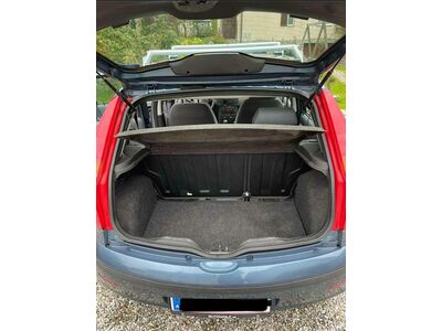 Fiat Punto Gebrauchtwagen