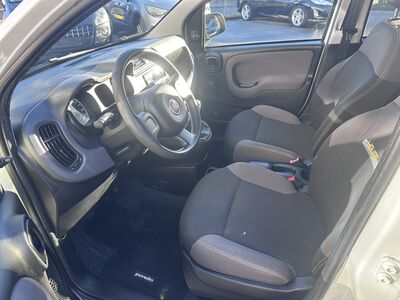 Fiat Panda Gebrauchtwagen Fiat Panda Gebrauchtwagen