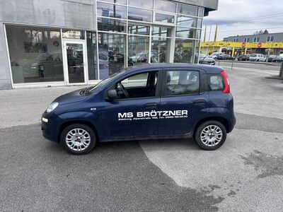 Fiat Panda Gebrauchtwagen