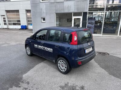 Fiat Panda Gebrauchtwagen