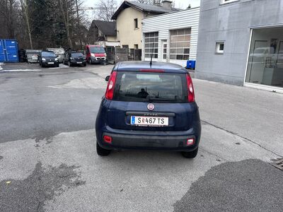 Fiat Panda Gebrauchtwagen