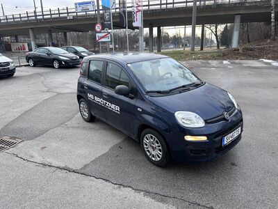 Fiat Panda Gebrauchtwagen