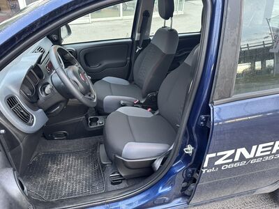 Fiat Panda Gebrauchtwagen