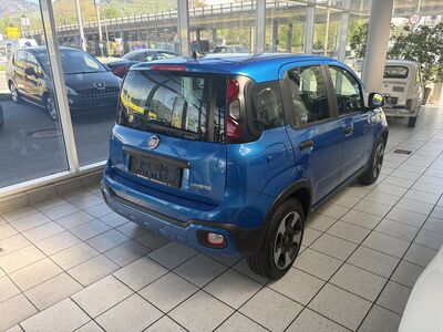 Fiat Panda Gebrauchtwagen Fiat Panda Gebrauchtwagen