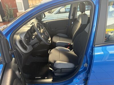 Fiat Panda Gebrauchtwagen Fiat Panda Gebrauchtwagen