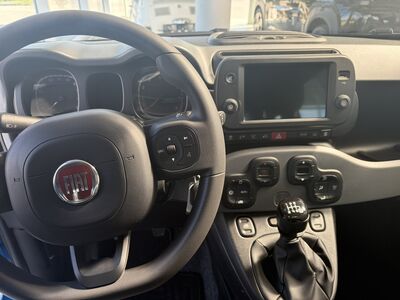 Fiat Panda Gebrauchtwagen Fiat Panda Gebrauchtwagen