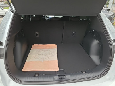 Ford Kuga Vorführwagen Ford Kuga Vorführwagen