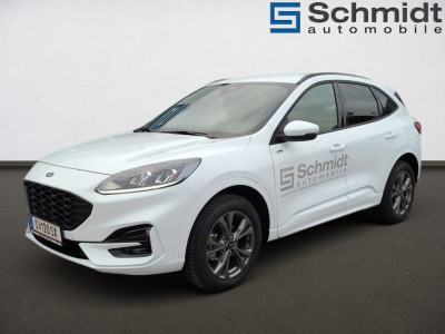 Ford Kuga Vorführwagen Ford Kuga Vorführwagen