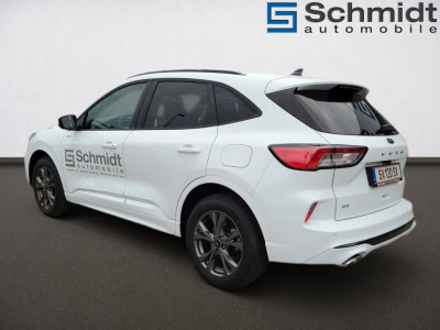 Ford Kuga Vorführwagen Ford Kuga Vorführwagen