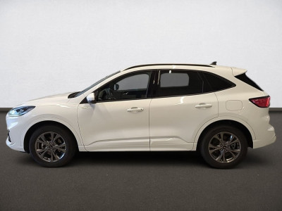 Ford Kuga Gebrauchtwagen Ford Kuga Gebrauchtwagen