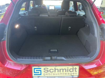 Ford Puma Gebrauchtwagen Ford Puma Gebrauchtwagen