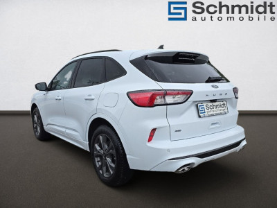 Ford Kuga Gebrauchtwagen Ford Kuga Gebrauchtwagen