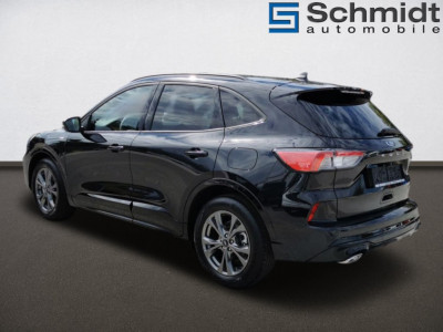 Ford Kuga Gebrauchtwagen Ford Kuga Gebrauchtwagen