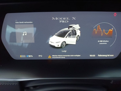 Tesla Model X Gebrauchtwagen