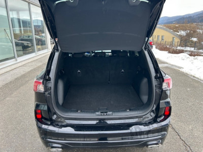 Ford Kuga Gebrauchtwagen Ford Kuga Gebrauchtwagen