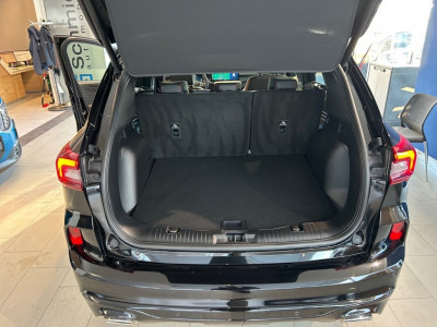 Ford Kuga Vorführwagen