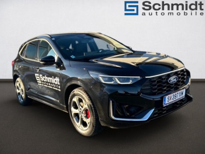 Ford Kuga Vorführwagen