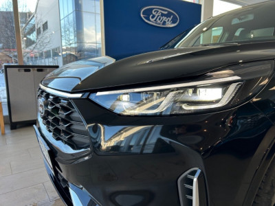 Ford Kuga Vorführwagen