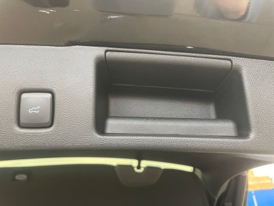 Ford Kuga Vorführwagen