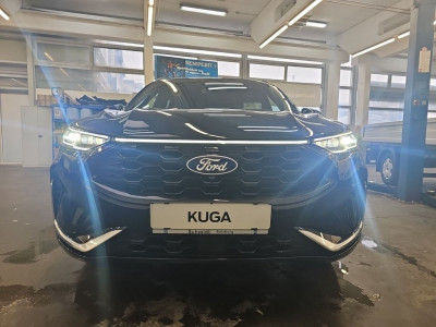 Ford Kuga Vorführwagen