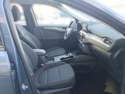 Ford Kuga Gebrauchtwagen Ford Kuga Gebrauchtwagen