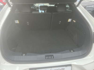 Ford Mustang Mach-E Gebrauchtwagen