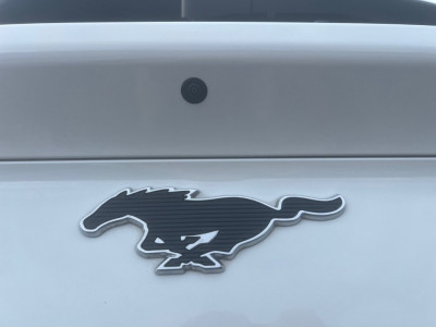 Ford Mustang Mach-E Gebrauchtwagen