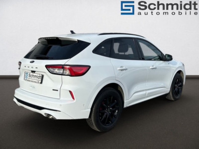 Ford Kuga Gebrauchtwagen Ford Kuga Gebrauchtwagen